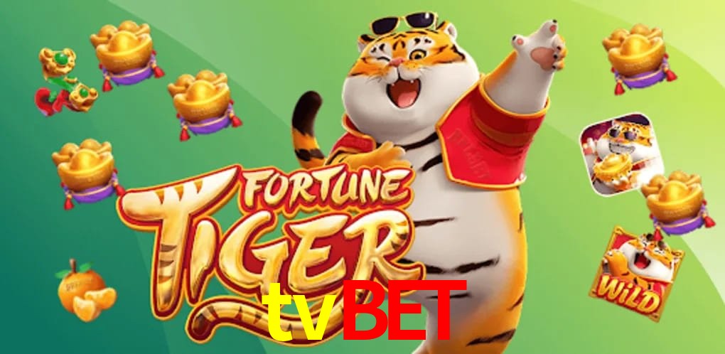 Experiência VIP tvbet