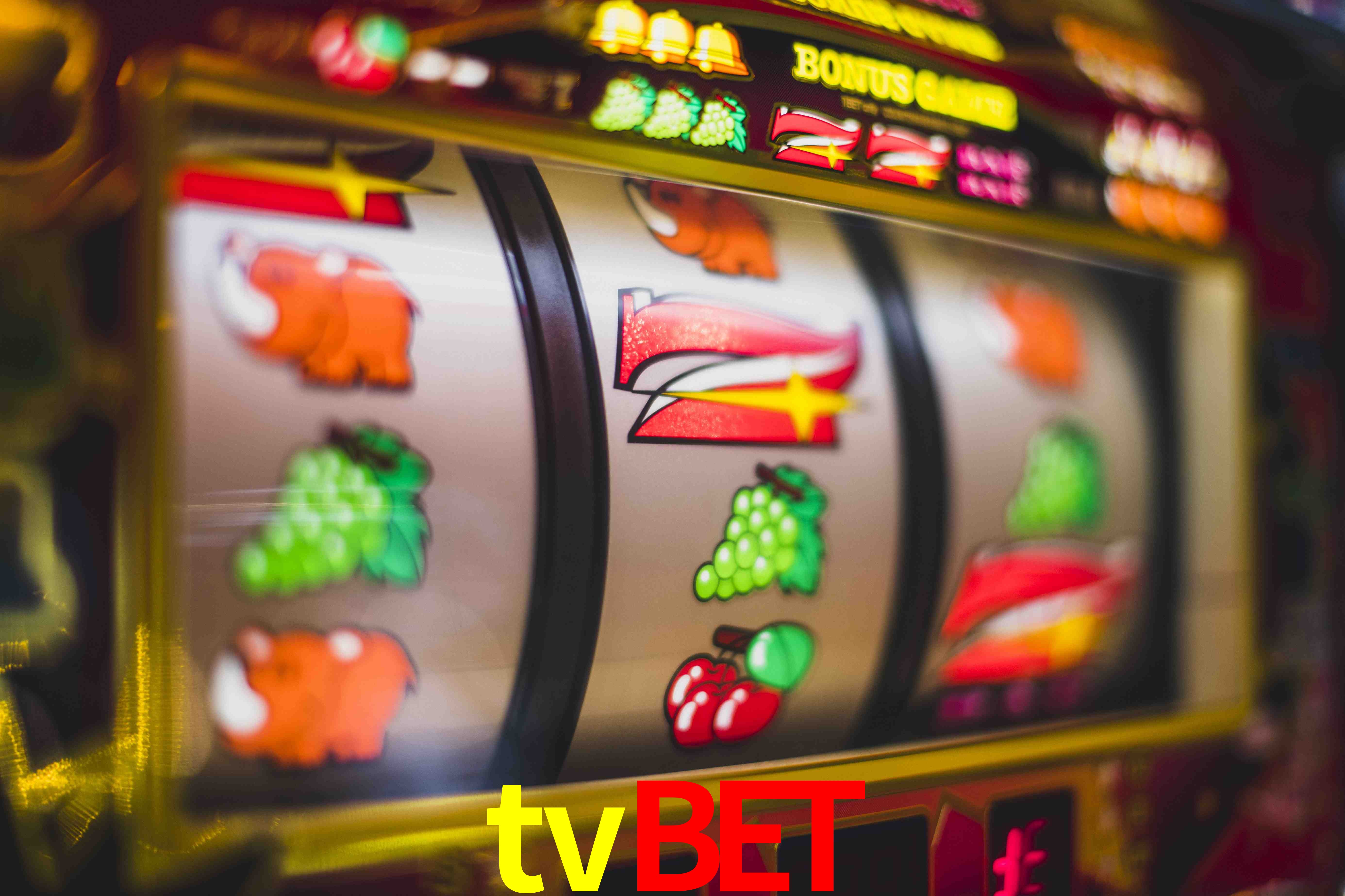 Football Betting tvbet